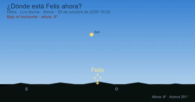 ¿Dónde está Felis ahora?