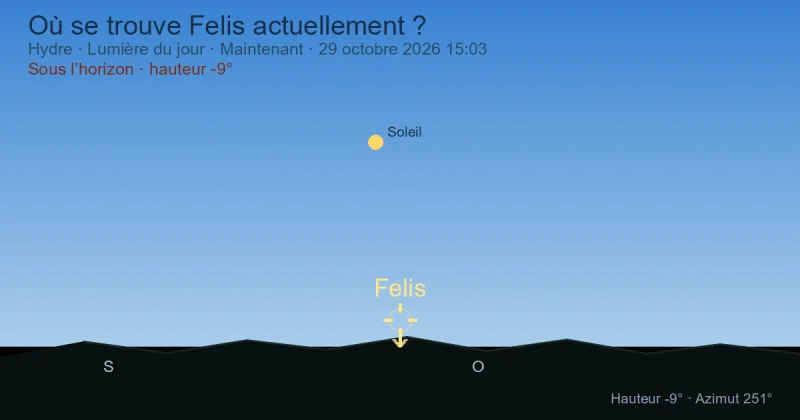 Où se trouve Felis actuellement ?