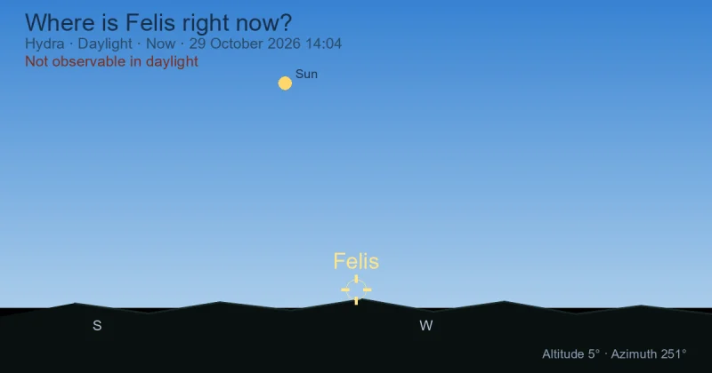 Where is Felis right now?