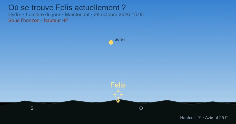 Où se trouve Felis actuellement ?