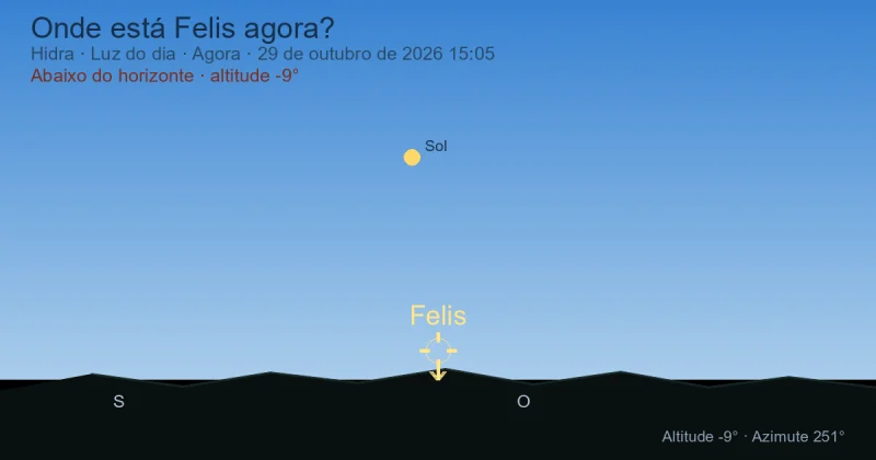 Onde está Felis agora?