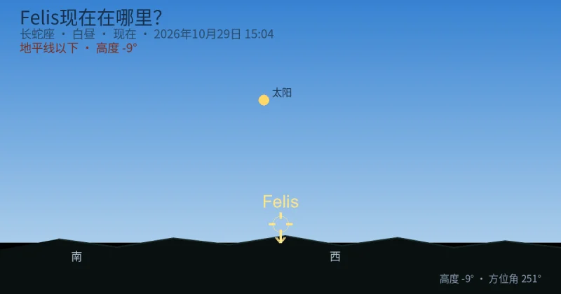 Felis现在在哪里?