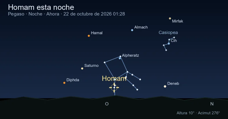Homam esta noche