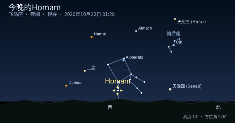 今晚的Homam