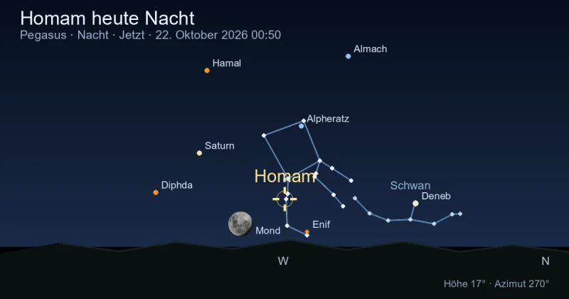 Homam heute Nacht