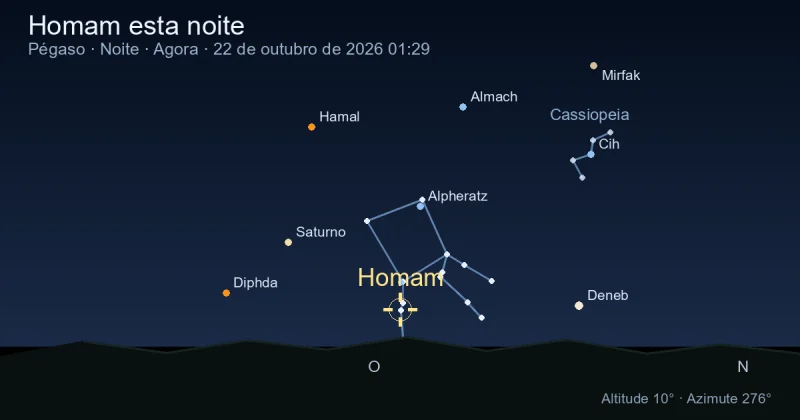 Homam esta noite