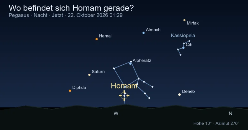 Wo befindet sich Homam gerade?