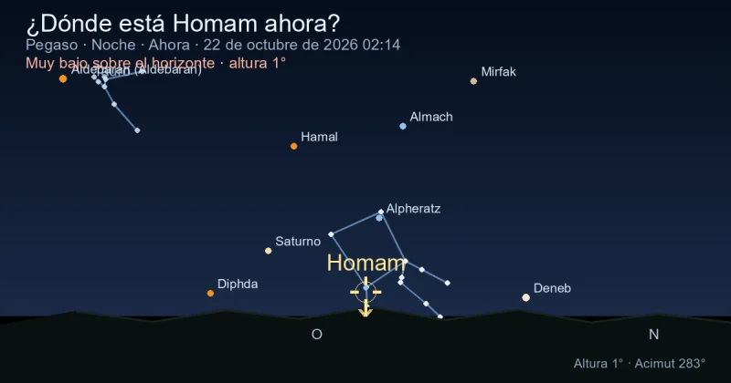 ¿Dónde está Homam ahora?