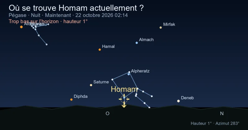 Où se trouve Homam actuellement ?