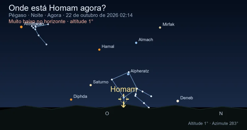 Onde está Homam agora?