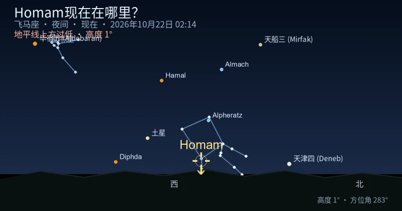 Homam现在在哪里？