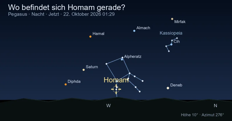 Wo befindet sich Homam gerade?
