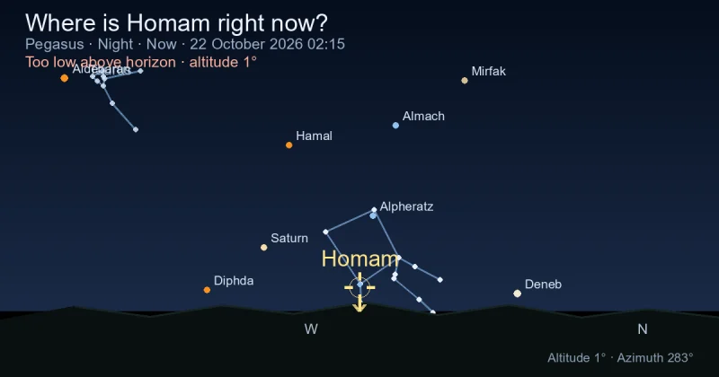 Where is Homam right now?