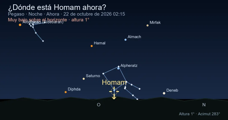 ¿Dónde está Homam ahora?