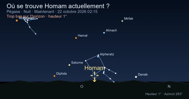 Où se trouve Homam actuellement ?