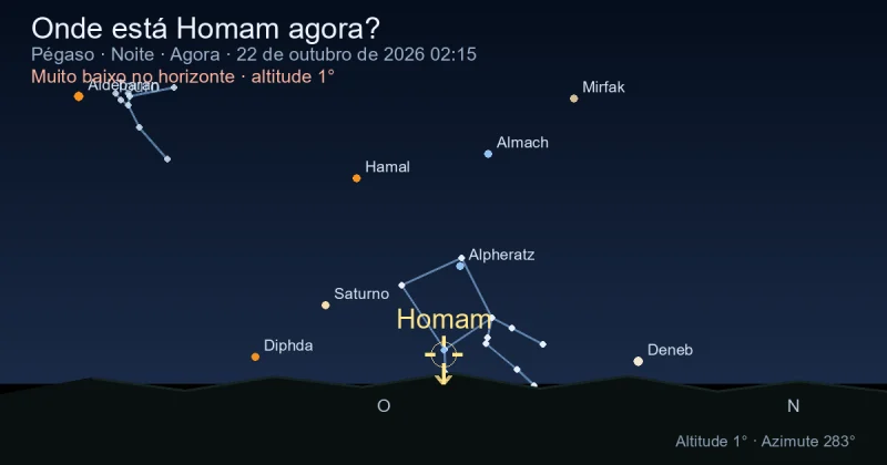 Onde está Homam agora?