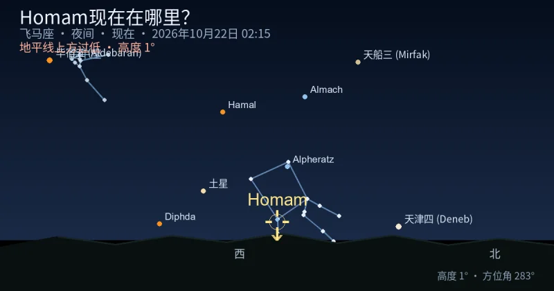 Homam现在在哪里?
