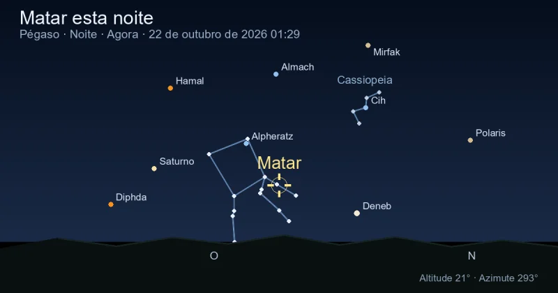 Matar esta noite