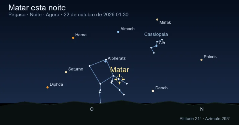 Matar esta noite