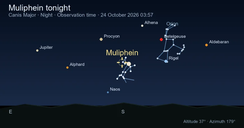 Muliphein tonight
