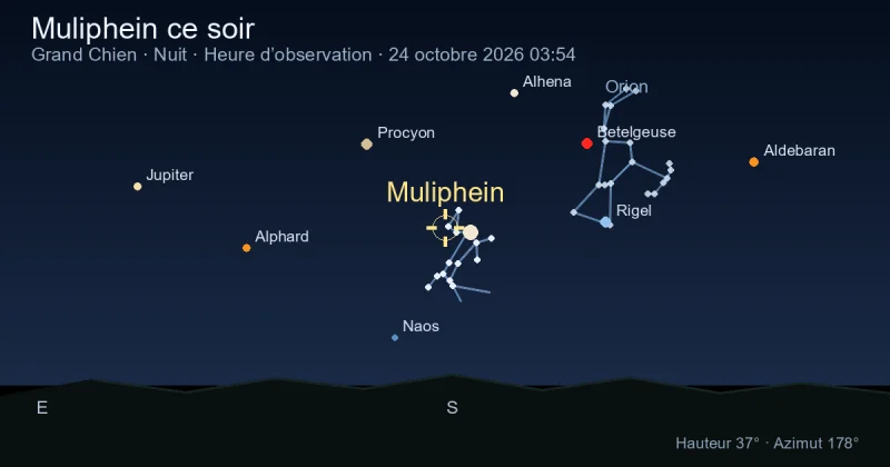 Muliphein ce soir