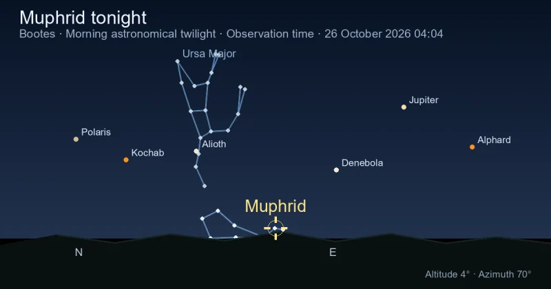 Muphrid tonight