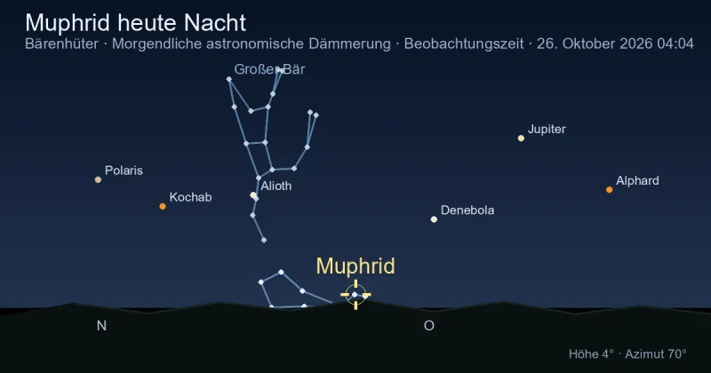 Muphrid heute Nacht