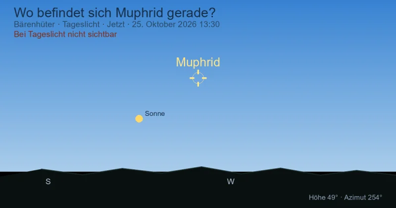 Wo befindet sich Muphrid gerade?
