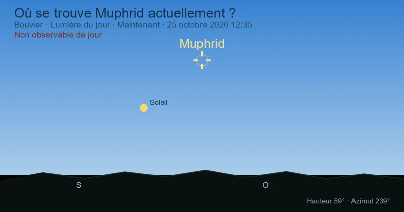 Où se trouve Muphrid actuellement ?