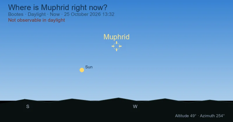Where is Muphrid right now?