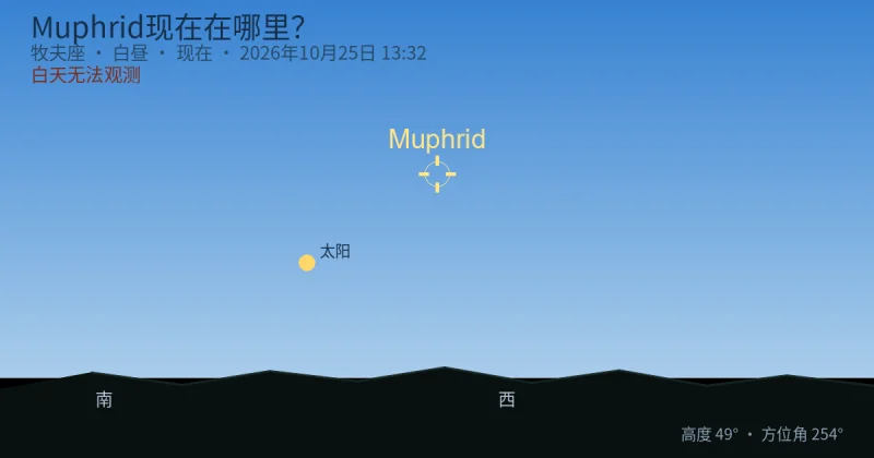 Muphrid现在在哪里?