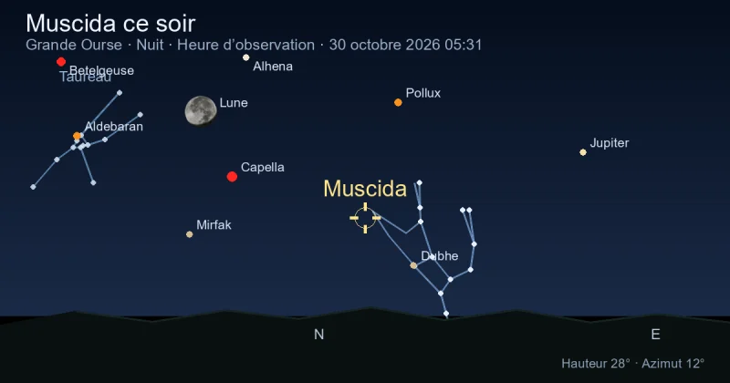 Muscida ce soir