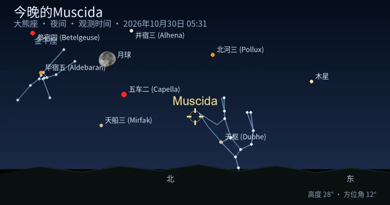 今晚的Muscida