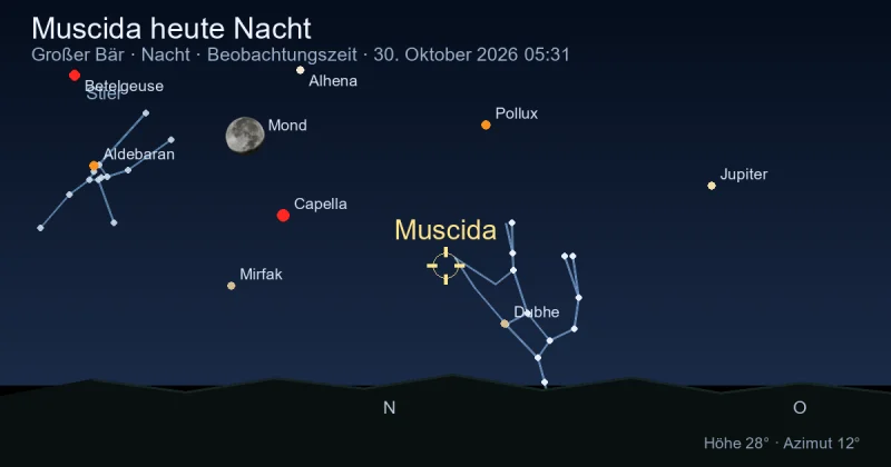 Muscida heute Nacht