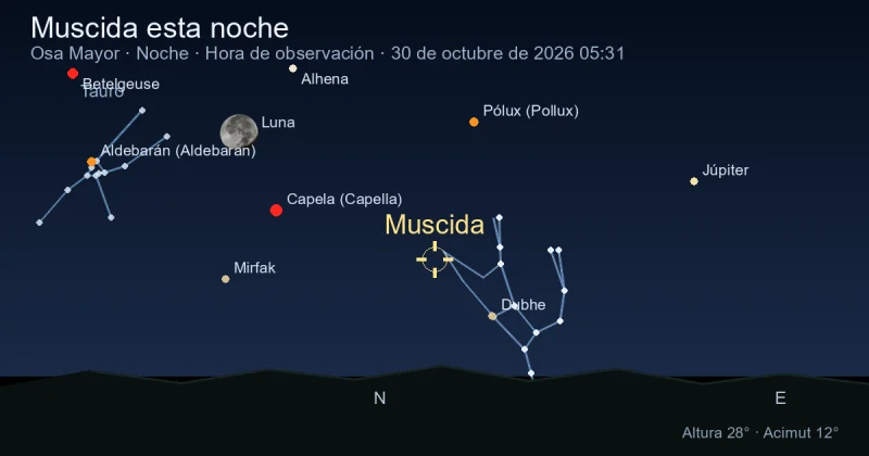 Muscida esta noche