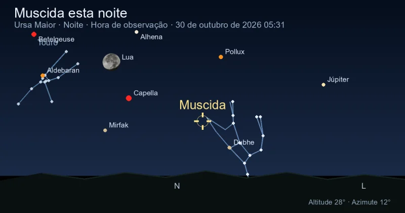 Muscida esta noite