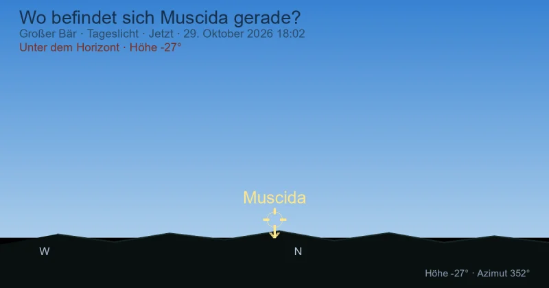 Wo befindet sich Muscida gerade?