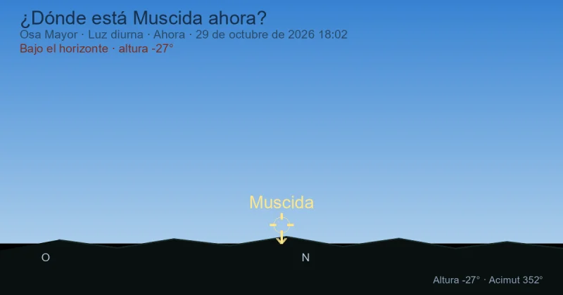 ¿Dónde está Muscida ahora?