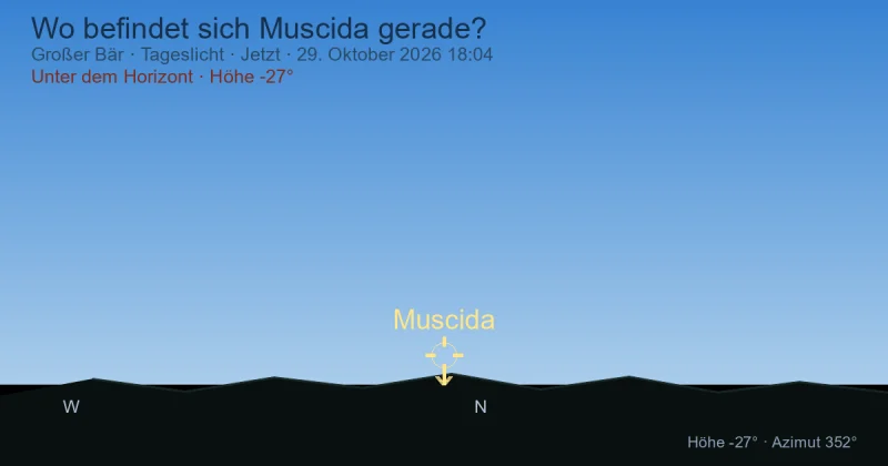 Wo befindet sich Muscida gerade?