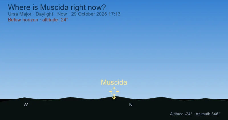 Where is Muscida right now?
