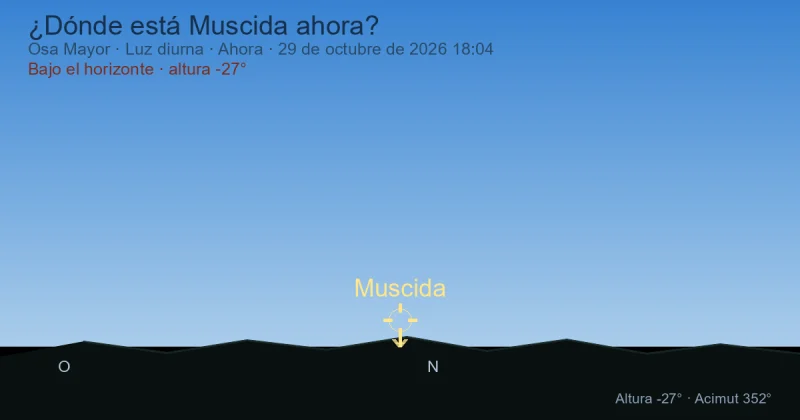 ¿Dónde está Muscida ahora?