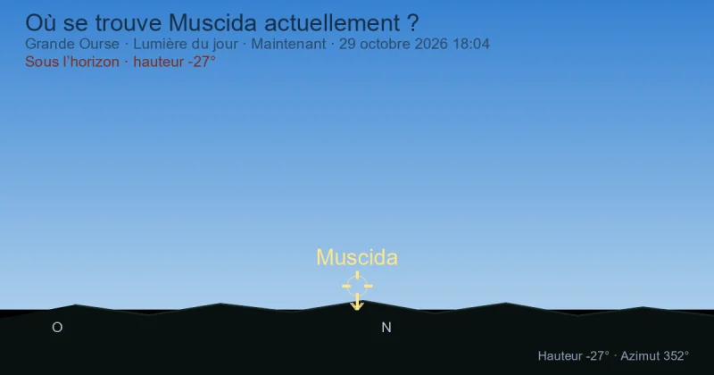 Où se trouve Muscida actuellement ?