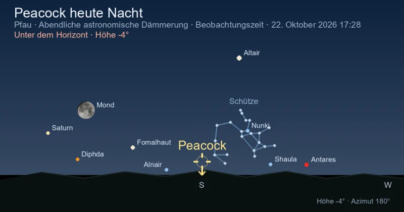 Peacock heute Nacht