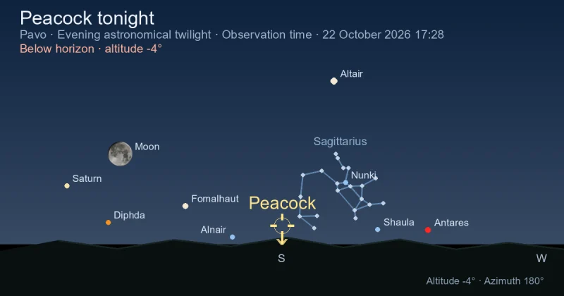 Peacock tonight