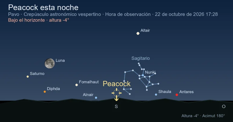 Peacock esta noche
