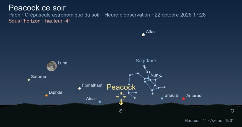 Peacock ce soir