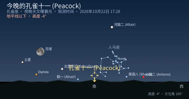 今晚的孔雀十一 (Peacock)