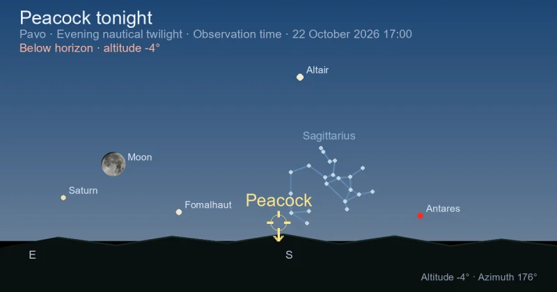 Peacock tonight