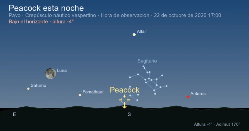 Peacock esta noche