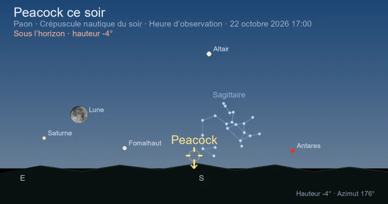 Peacock ce soir